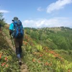 鉢伏山（はちぶせやま）