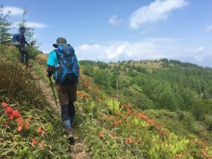 鉢伏山（はちぶせやま）